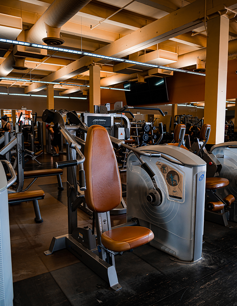 Fitness gym chair Fitness gym chair